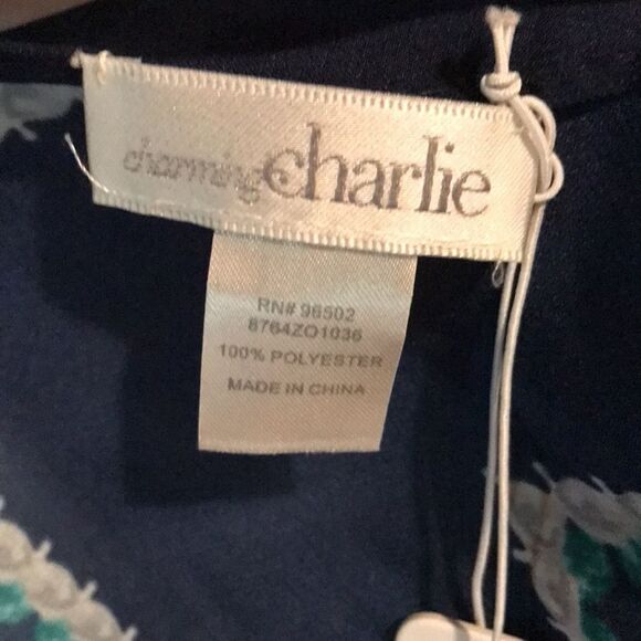 Charming Charlie 72 in Scarf New with tags 100% polyester - Picture 5 of 5